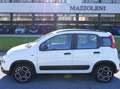 Fiat Panda III 2021 1.2 easypower City Life Gpl Bianco - thumbnail 1
