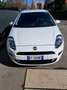 Fiat Punto Punto III 2012 5p 1.2 Street E6 Bianco - thumbnail 1