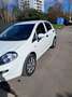 Fiat Punto Punto III 2012 5p 1.2 Street E6 Bianco - thumbnail 4