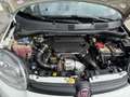 Fiat Panda 1.3 MJT S&S 4x4 Antartica UNICO PROPR. MOTORE NUOV Wit - thumbnail 32