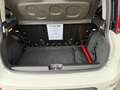 Fiat Panda 1.3 MJT S&S 4x4 Antartica UNICO PROPR. MOTORE NUOV Wit - thumbnail 25