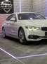 BMW 430 430 i Luxury Line/HuD/LED/HK/ Ab 312 Euro im Monat Weiß - thumbnail 4