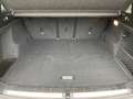 BMW X1 xDrive20i M Sportpaket-DAB-LED-Panoramadach-Rückfa White - thumbnail 12