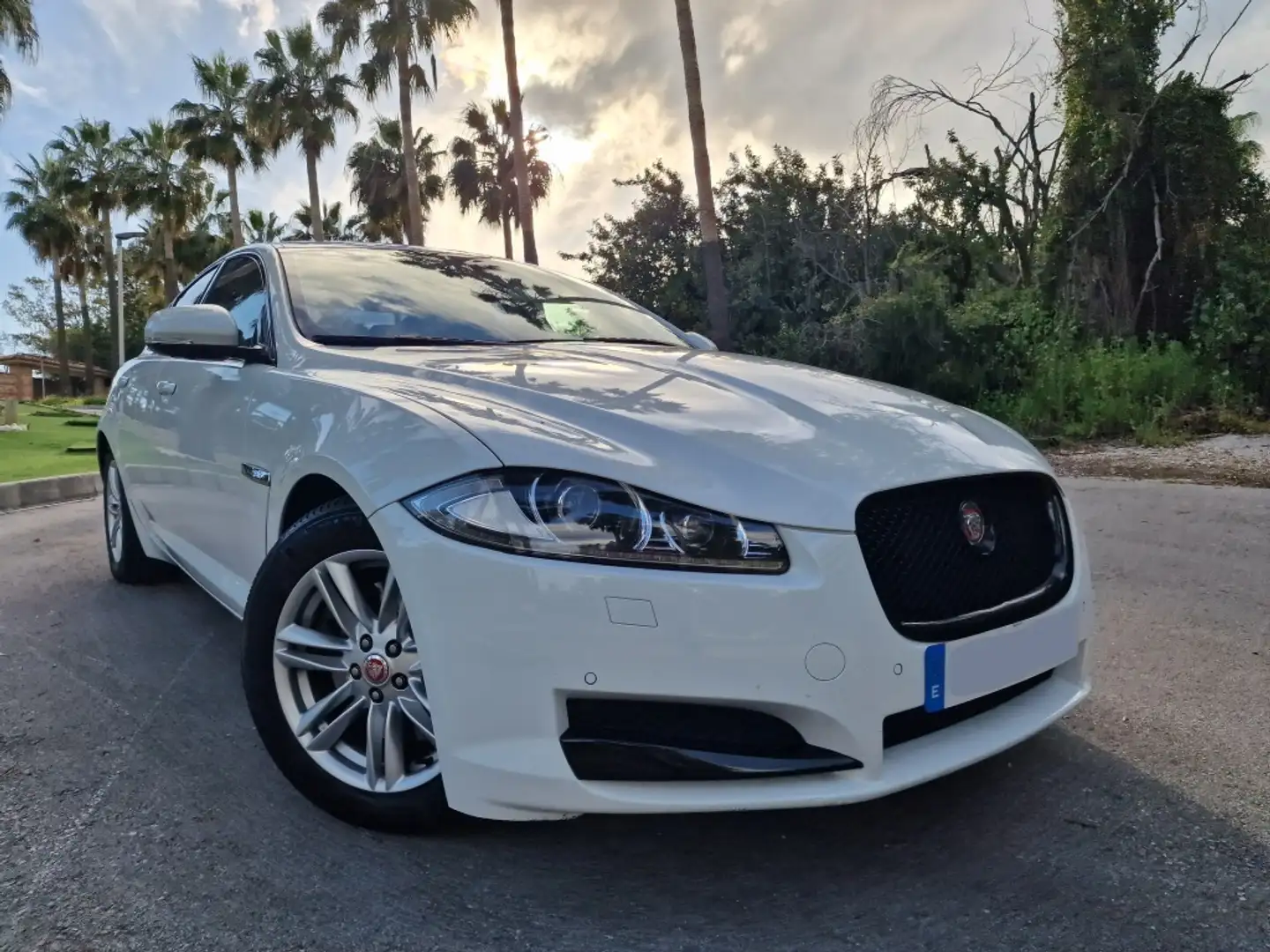 Jaguar XF 2.2 Diesel Premium Luxury Aut. Bianco - 1