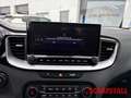 Kia Ceed SW / cee'd SW 1.6 GDI PHEV Vision Komfort-Paket Navi Tempomat Ka Bianco - thumbnail 12