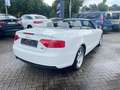 Audi A5 Cabriolet 2.0 TDI  quattro Weiß - thumbnail 15