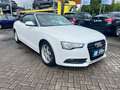 Audi A5 Cabriolet 2.0 TDI  quattro Weiß - thumbnail 3