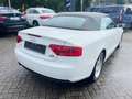 Audi A5 Cabriolet 2.0 TDI  quattro Weiß - thumbnail 4