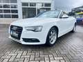 Audi A5 Cabriolet 2.0 TDI  quattro Weiß - thumbnail 14