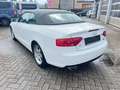 Audi A5 Cabriolet 2.0 TDI  quattro Weiß - thumbnail 5