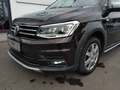 Volkswagen Caddy Alltrack 2,0 TDI DSG Xenon Navi PDC Schwarz - thumbnail 3