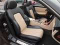 Mercedes-Benz SLK 230 Kompressor Roadster W170 AMG Optik Negro - thumbnail 19