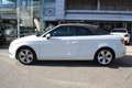Audi A3 Cabrio 2.0 TDI clean diesel S tronic Ambition Blanco - thumbnail 3