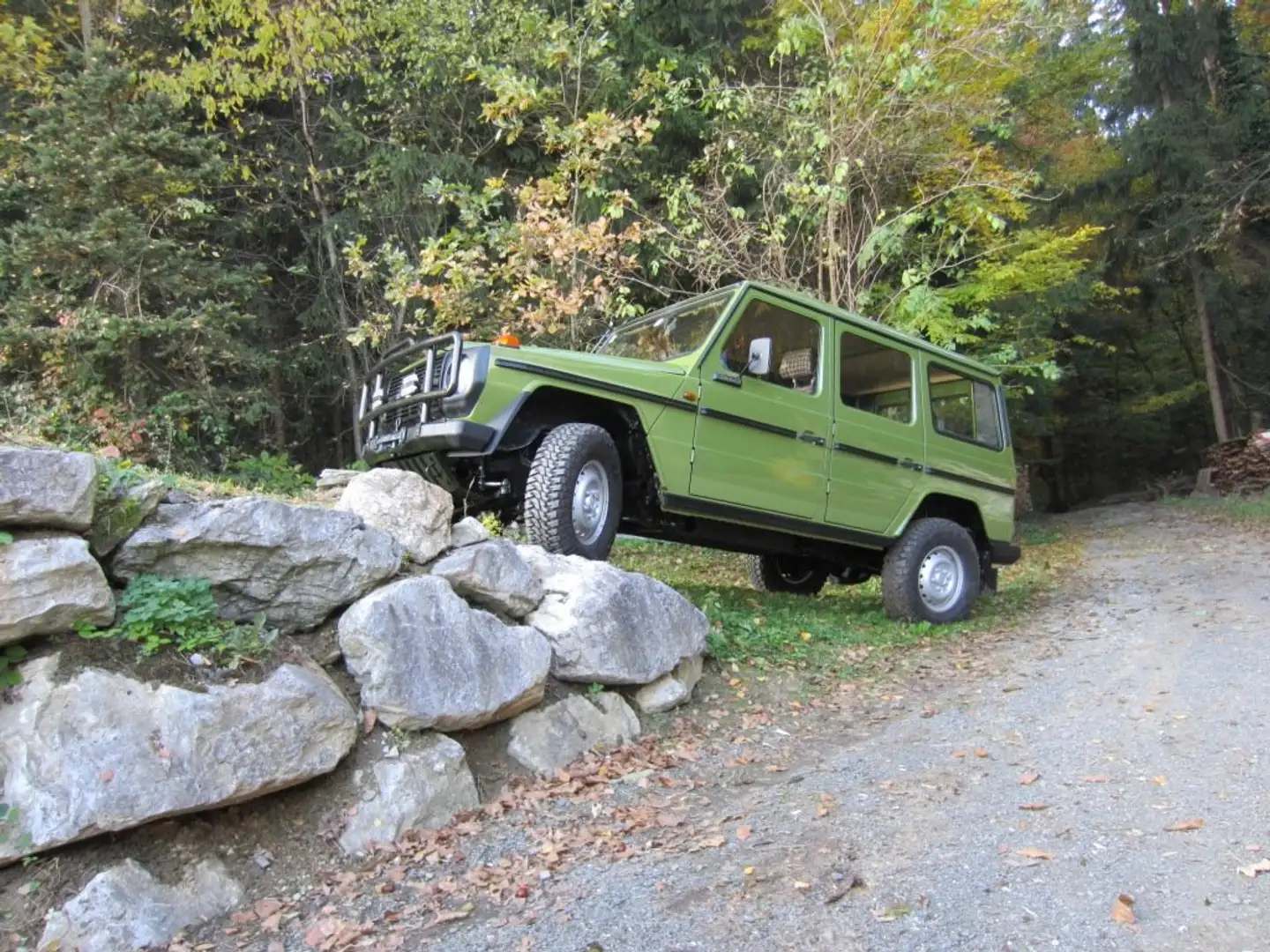 Puch G 240 GD/6 Ds. - 1