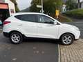 Hyundai iX35 5 Star Edition AWD Klimaau.,SHZ,PDC,1.Hand Weiß - thumbnail 4