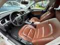 Audi A4 allroad quattro 2.0 TFSI Pro Line, Leder, Navi, Inruil mog Blanc - thumbnail 13