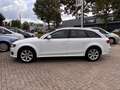 Audi A4 allroad quattro 2.0 TFSI Pro Line, Leder, Navi, Inruil mog Blanc - thumbnail 8