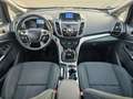 Ford Grand C-Max C-Max Diesel1.6 TDCi Start-Stop-System TitaniumTop Zwart - thumbnail 13