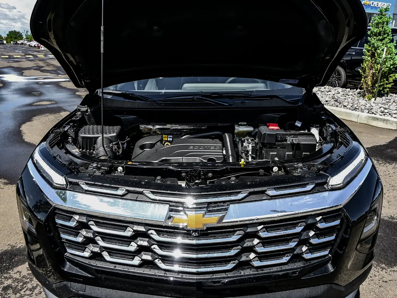 Chevrolet Equinox photo Chevrolet Equinox