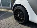 smart forTwo PRIME CABRIO AUTOM. NAVI LEDER KLIMAAUTO Blanco - thumbnail 19