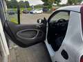 smart forTwo PRIME CABRIO AUTOM. NAVI LEDER KLIMAAUTO Blanco - thumbnail 18