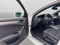 Audi A4 Attraction quattro Weiß - thumbnail 9