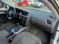 Audi A5 A5 SPB 2.0 TDI 177 CV multitronic Ambiente Weiß - thumbnail 28