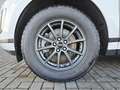 Land Rover Range Rover Evoque D165 Weiß - thumbnail 10