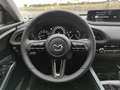 Mazda CX-30 Exclusive Matrix Klimaaut Tempomat Sitzheizg RFK L Blanc - thumbnail 9