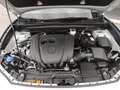 Mazda CX-30 Exclusive Matrix Klimaaut Tempomat Sitzheizg RFK L Blanco - thumbnail 15