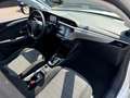 Opel Corsa-e 5 PORTE EDITION Bianco - thumbnail 6