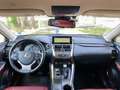Lexus NX 300 NX 300h 2.5 Luxury 4wd cvt Noir - thumbnail 7