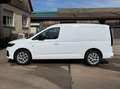 Ford Transit Connect Grand Transit Connect L2 FWD Autm. PHEV Limited Weiß - thumbnail 3
