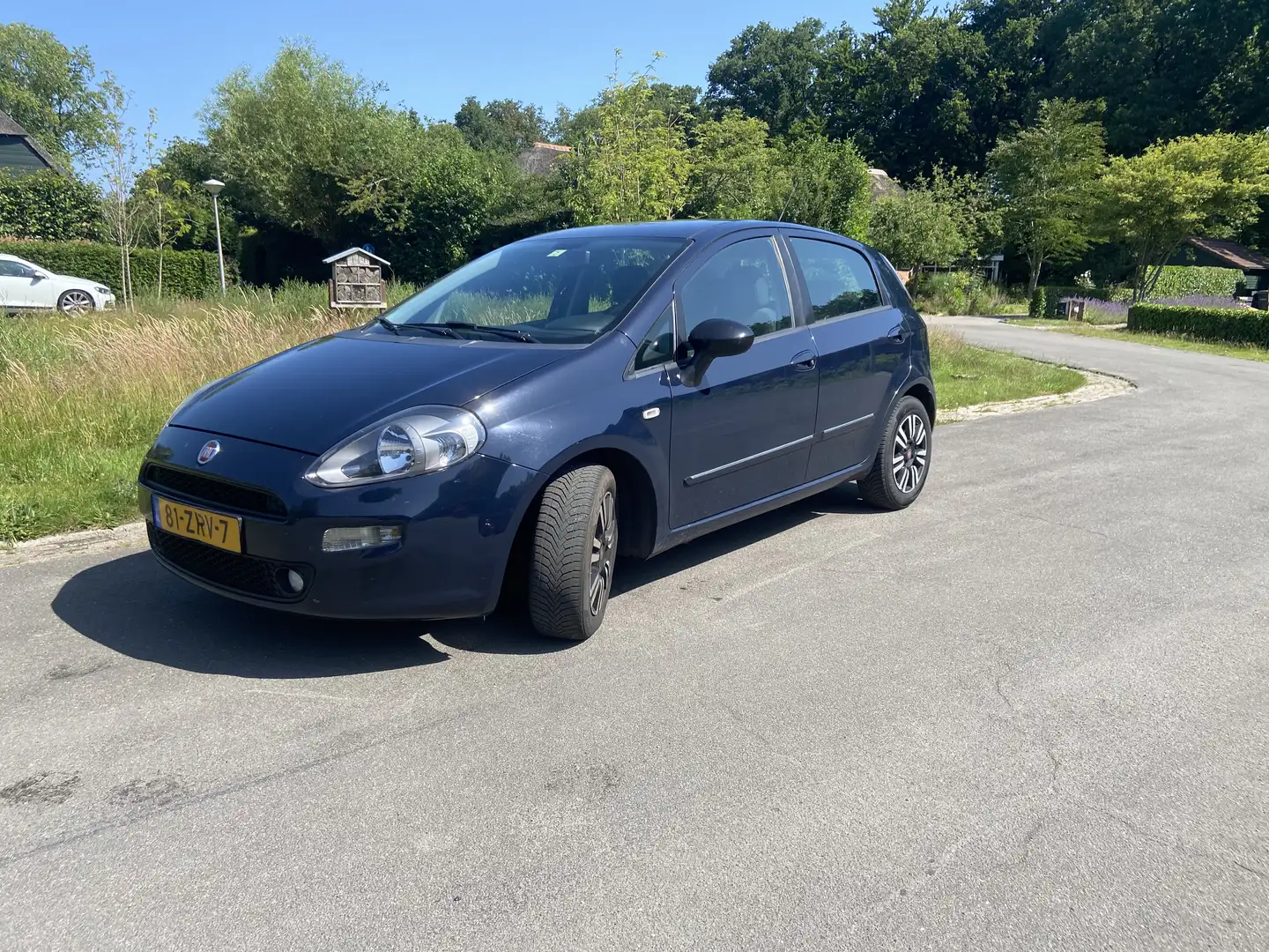 Fiat Punto 0.9 TwinAir Easy Blue - 1