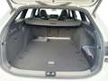 Volkswagen Passat Variant 2.0 TDI DSG 4Motion R-Line AHK*PANO*DCC*IQ-LIGH... Weiß - thumbnail 9