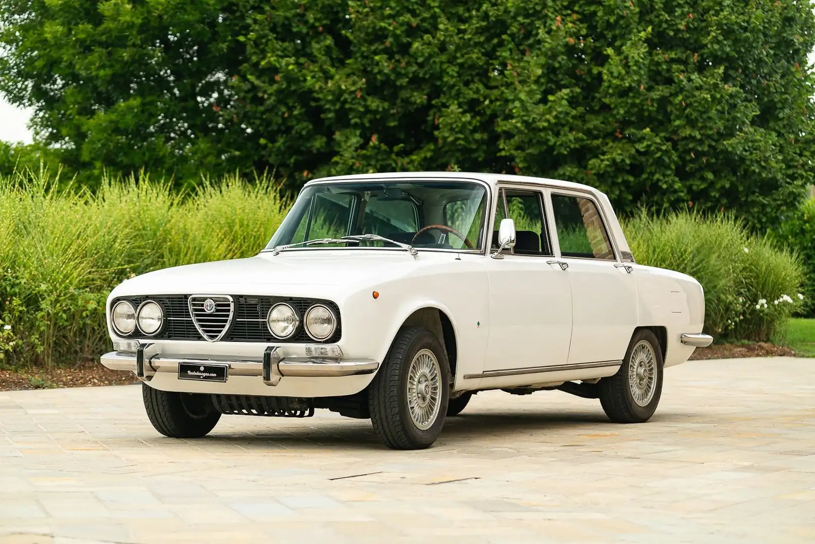Alfa Romeo 2000 - 1