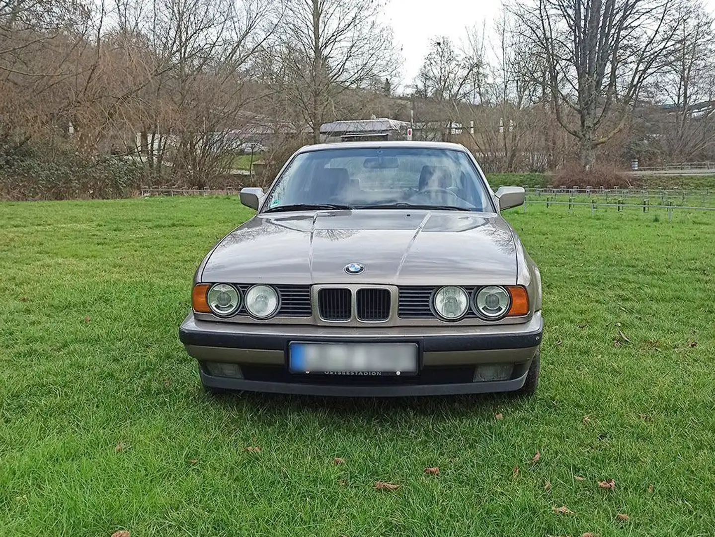 BMW 525 525i Бежевий - 2