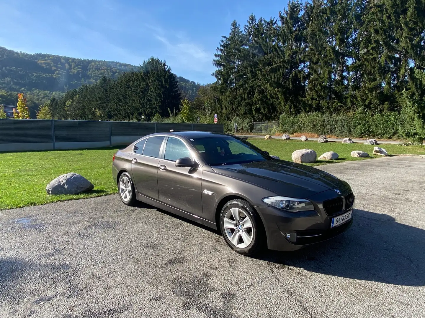 BMW 520 520d Braun - 2