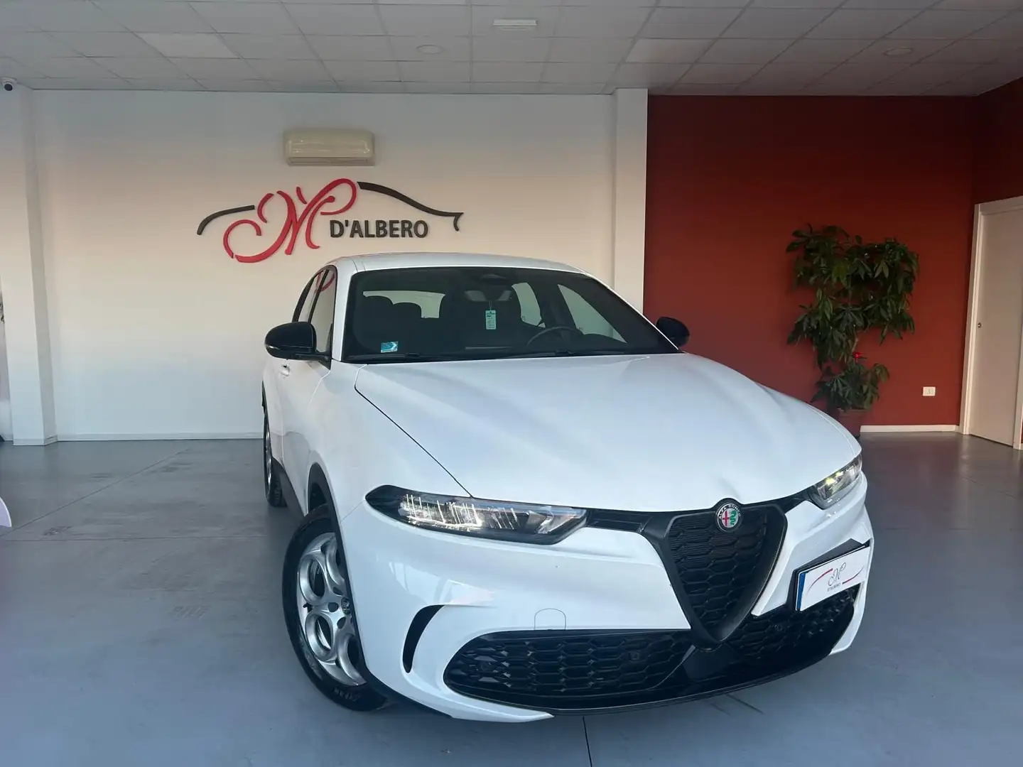 Alfa Romeo Tonale Tonale 1.6 diesel 130 CV TCT6 Ti Weiß - 1