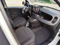 Fiat Panda Panda III 2021 1.0 firefly hybrid s Weiß - thumbnail 15