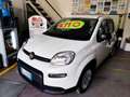 Fiat Panda Panda III 2021 1.0 firefly hybrid s Weiß - thumbnail 29