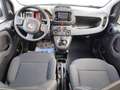 Fiat Panda Panda III 2021 1.0 firefly hybrid s Weiß - thumbnail 14