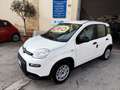 Fiat Panda Panda III 2021 1.0 firefly hybrid s Weiß - thumbnail 32