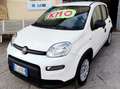Fiat Panda Panda III 2021 1.0 firefly hybrid s Weiß - thumbnail 1