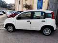 Fiat Panda Panda III 2021 1.0 firefly hybrid s Weiß - thumbnail 30
