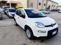 Fiat Panda Panda III 2021 1.0 firefly hybrid s Weiß - thumbnail 20