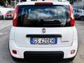 Fiat Panda Panda III 2021 1.0 firefly hybrid s Weiß - thumbnail 23