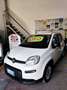 Fiat Panda Panda III 2021 1.0 firefly hybrid s Weiß - thumbnail 4