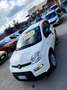 Fiat Panda Panda III 2021 1.0 firefly hybrid s Weiß - thumbnail 7