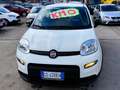 Fiat Panda Panda III 2021 1.0 firefly hybrid s Weiß - thumbnail 18